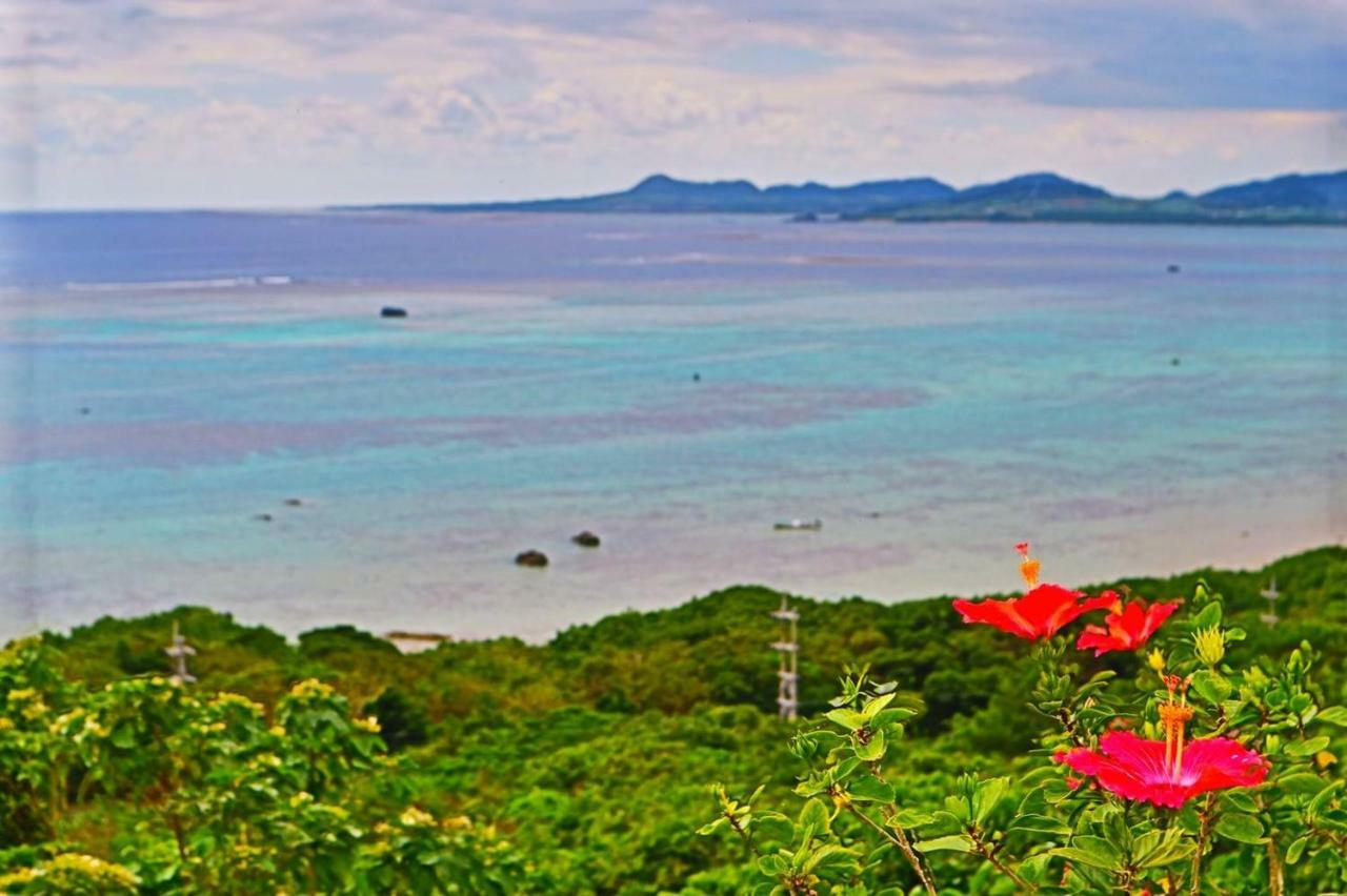 Little Mermaid Hotel Ishigakijima Ishigaki  Экстерьер фото